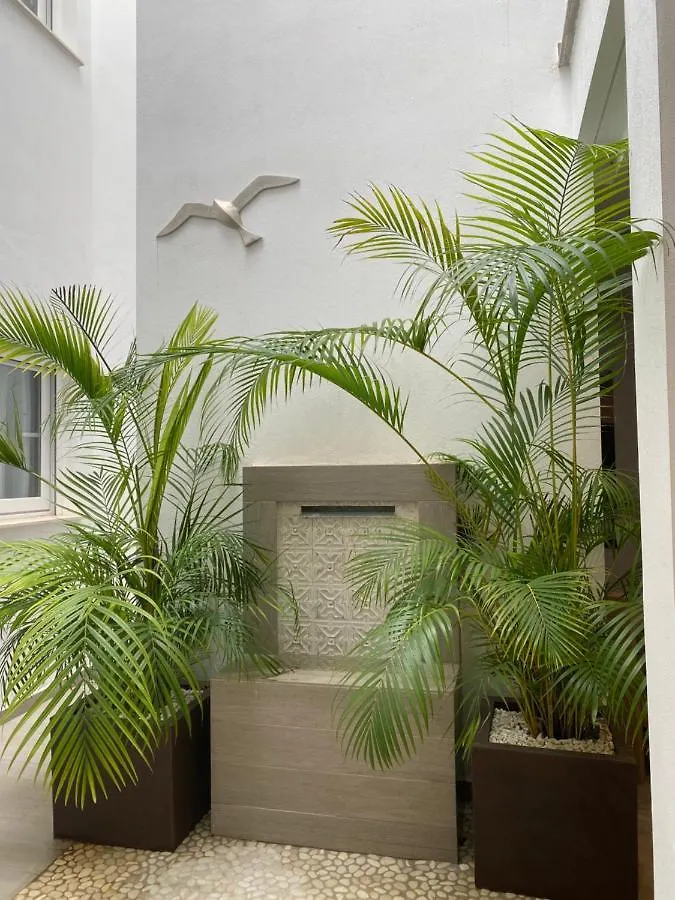 ゲストハウス Hostal El Caprichito マルベーリャ スペイン