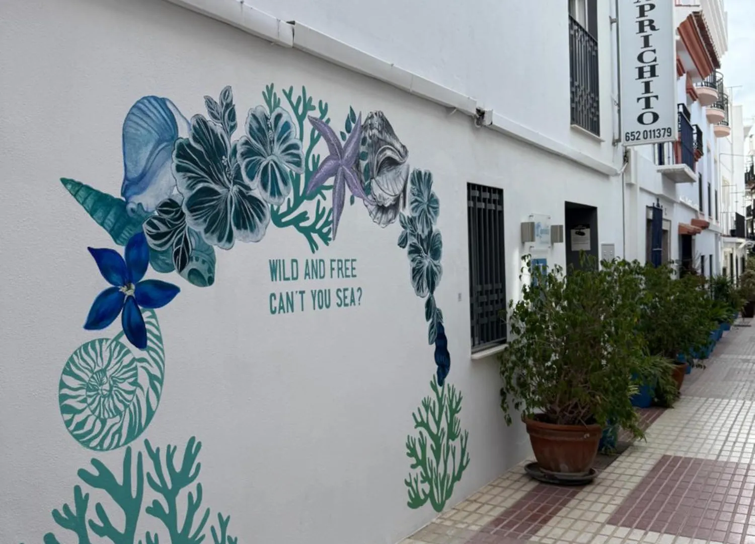 Hostal El Caprichito マルベーリャ ゲストハウス